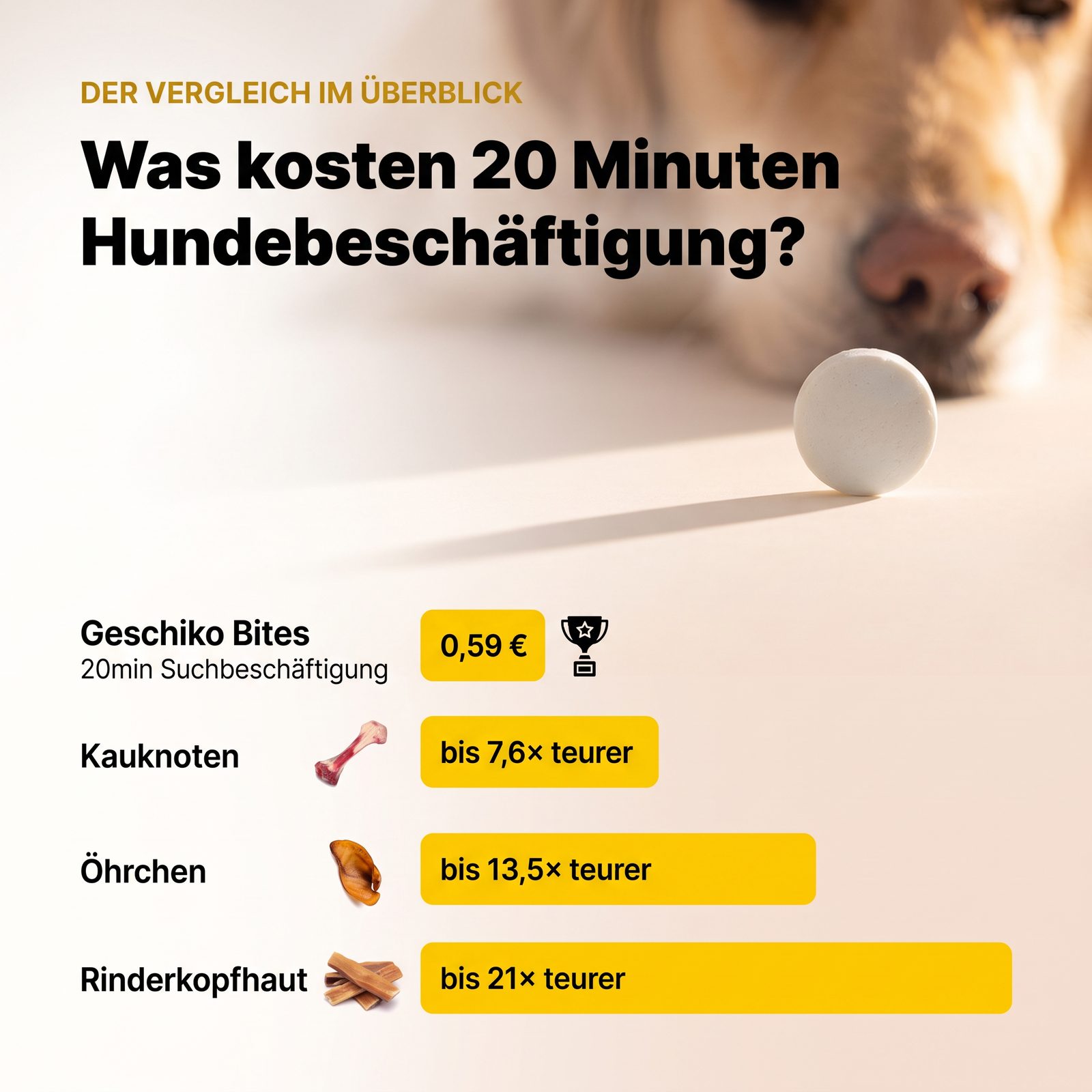 Gechiko Bites – kalorienarm und hypoallergen
