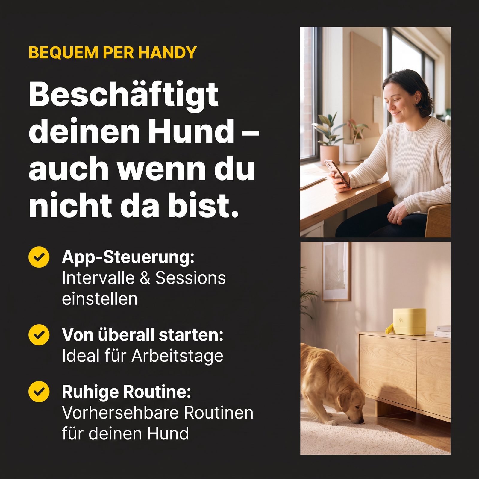 Die Rampe muss gebogen eingesetzt werden