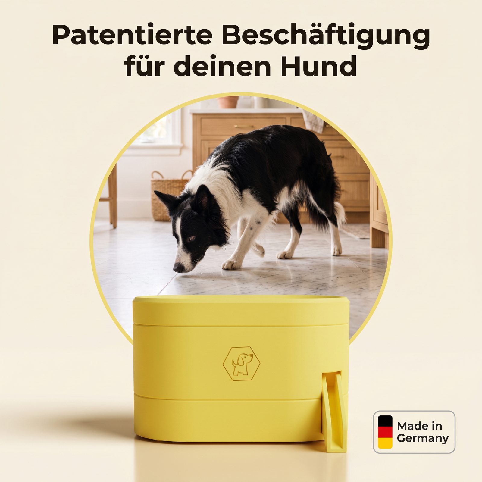 Gechiko im Vergleich zu Kong und Schnüffelteppich