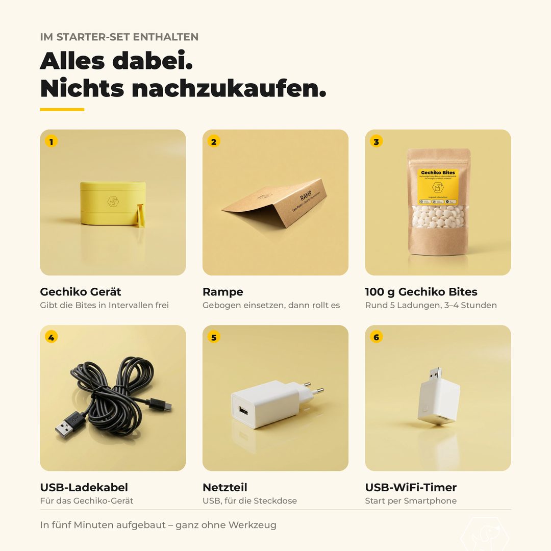 Gechiko per WiFi-Timer vom Smartphone starten